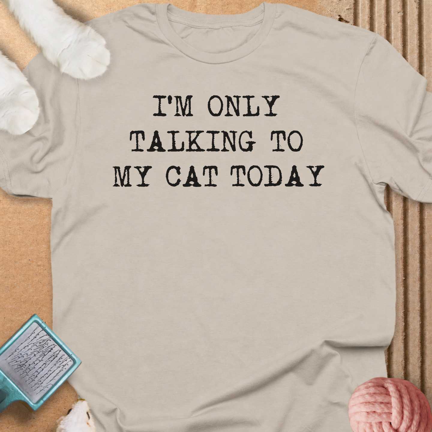 Talking To My Cat