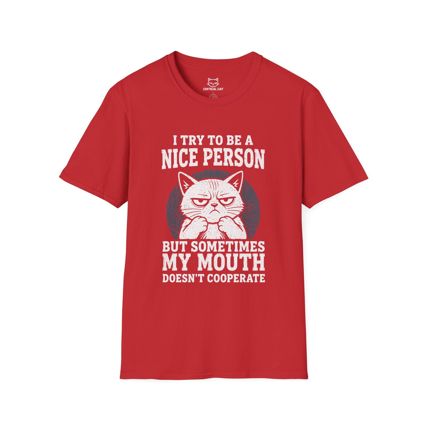Try To Be A Nice Person