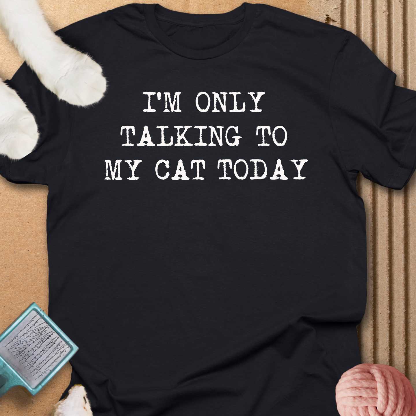 Talking To My Cat