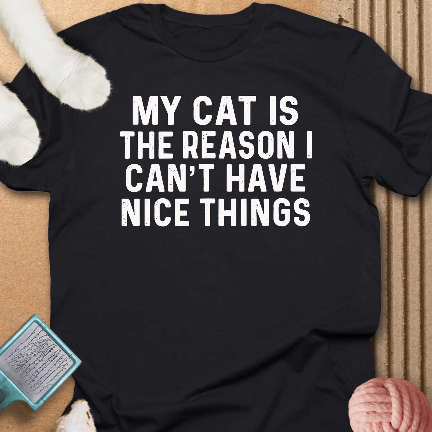 Can't Have Nice Things