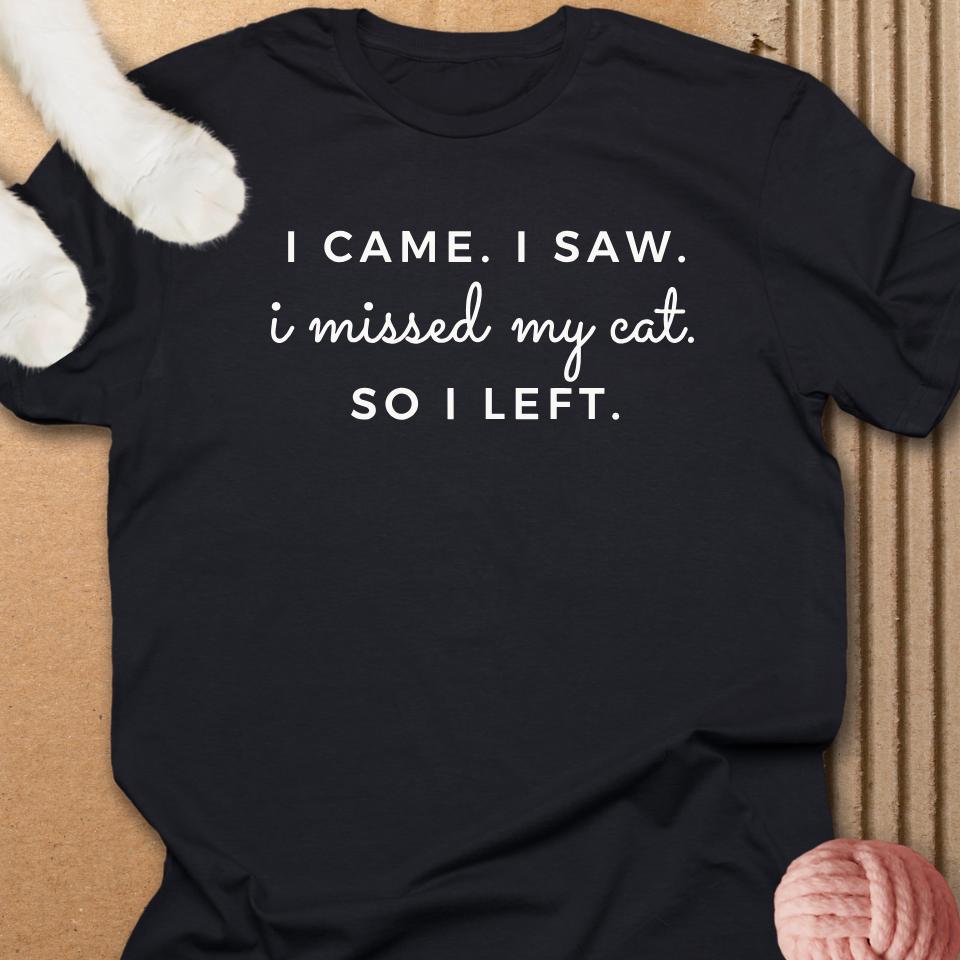 I Came I Saw