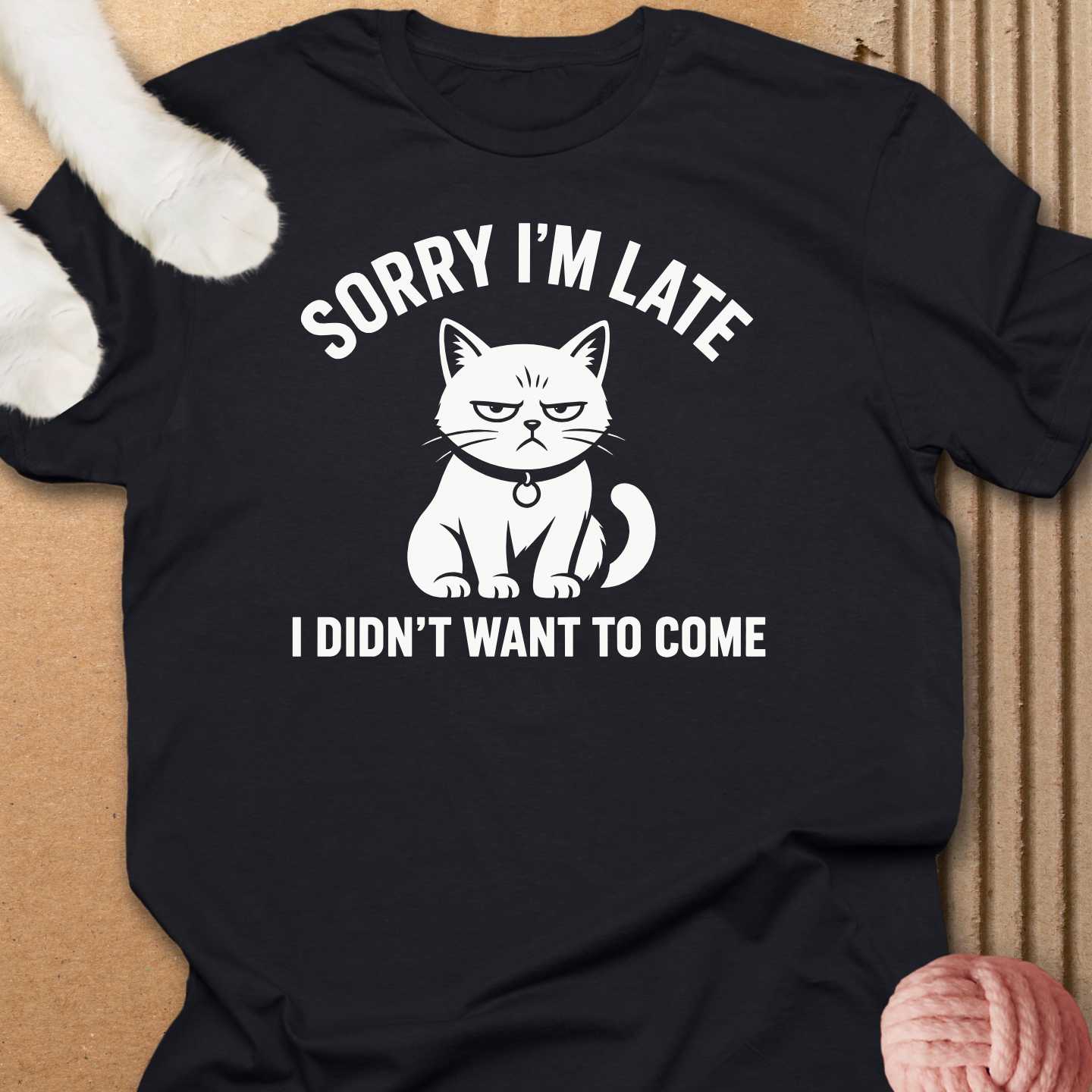 Didn't Want To Come