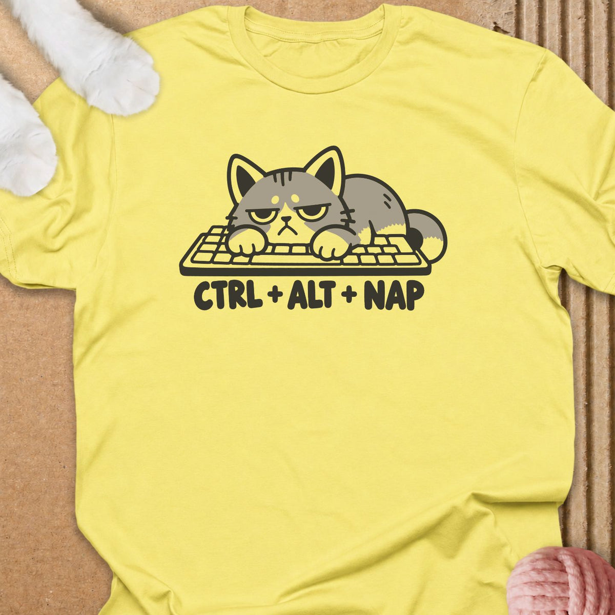 Ctrl Alt Nap