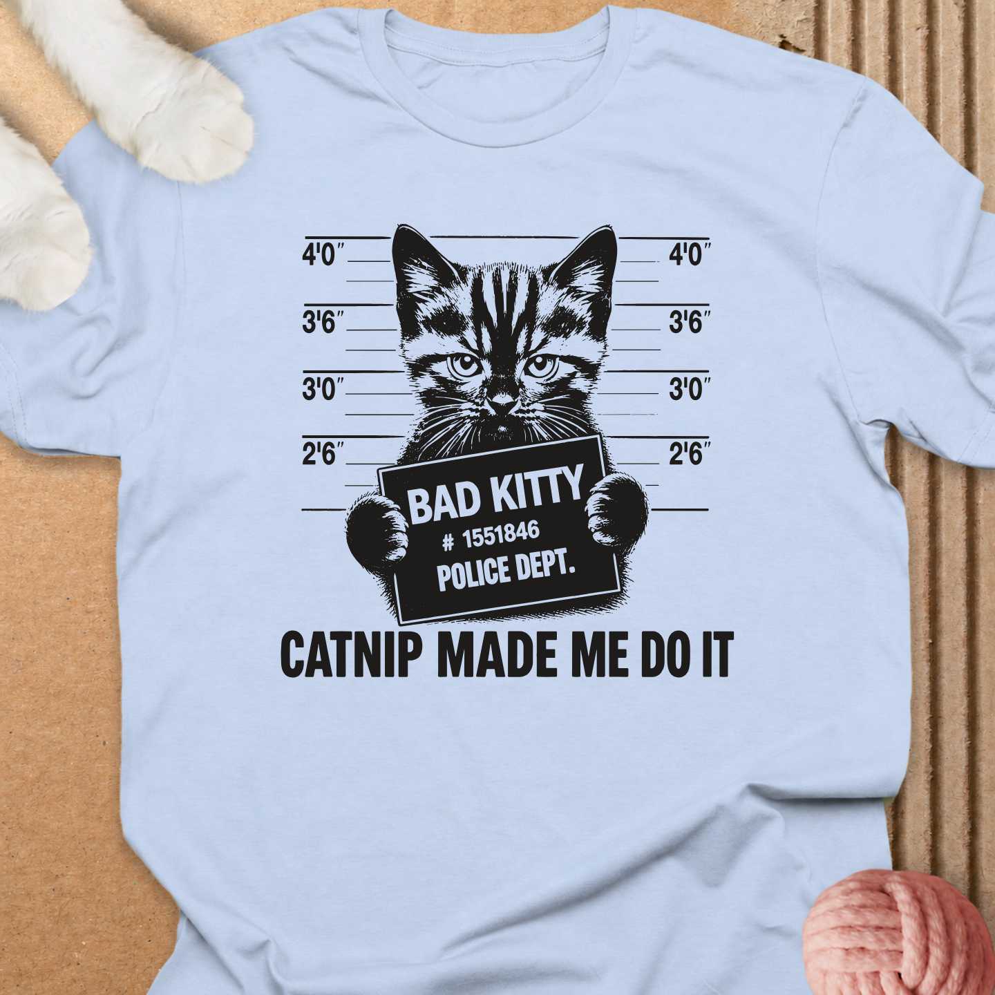 Catnip Made Me Do It