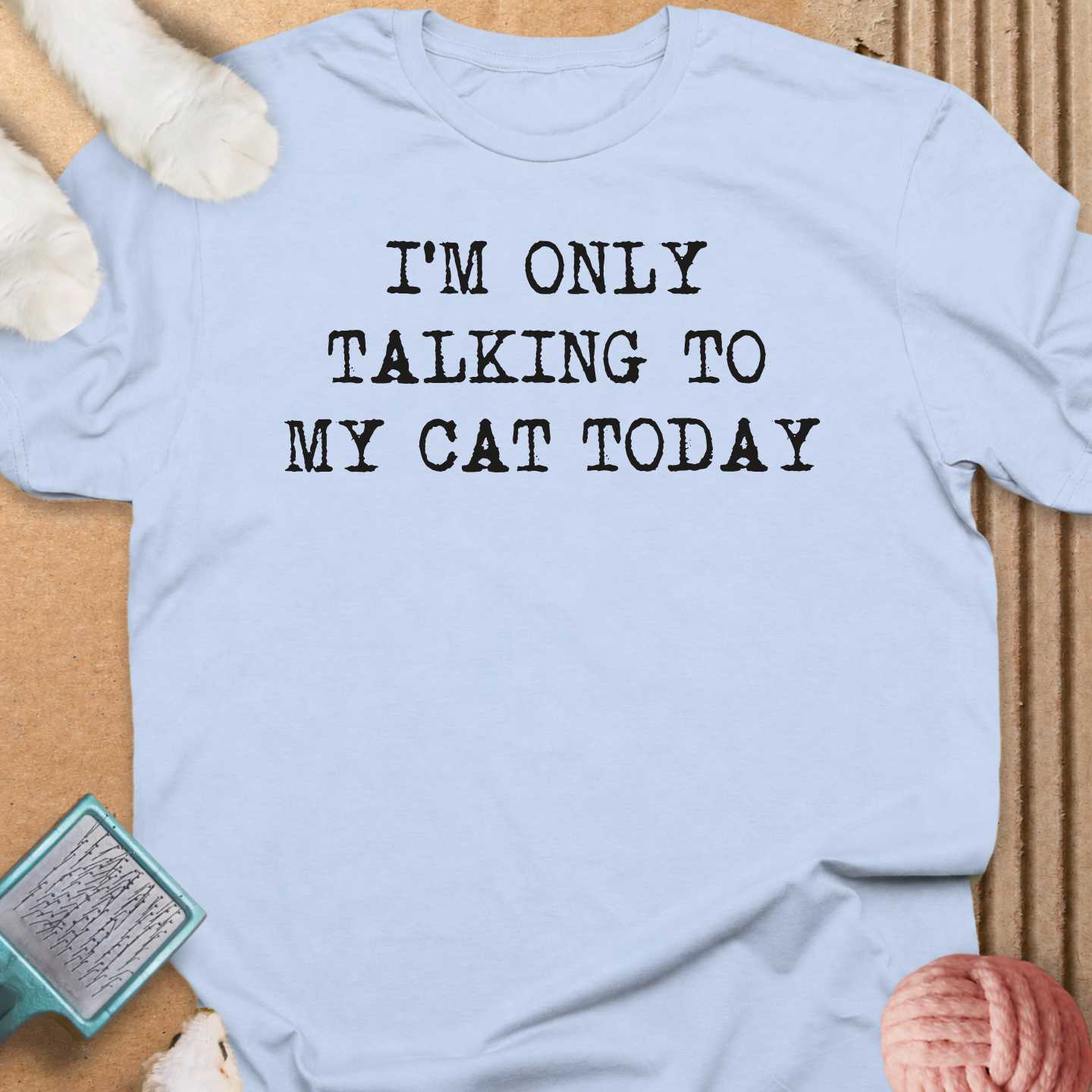 Talking To My Cat