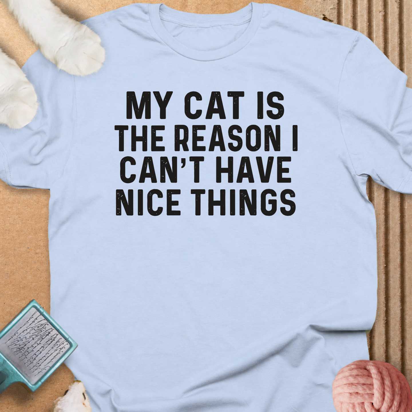 Can't Have Nice Things