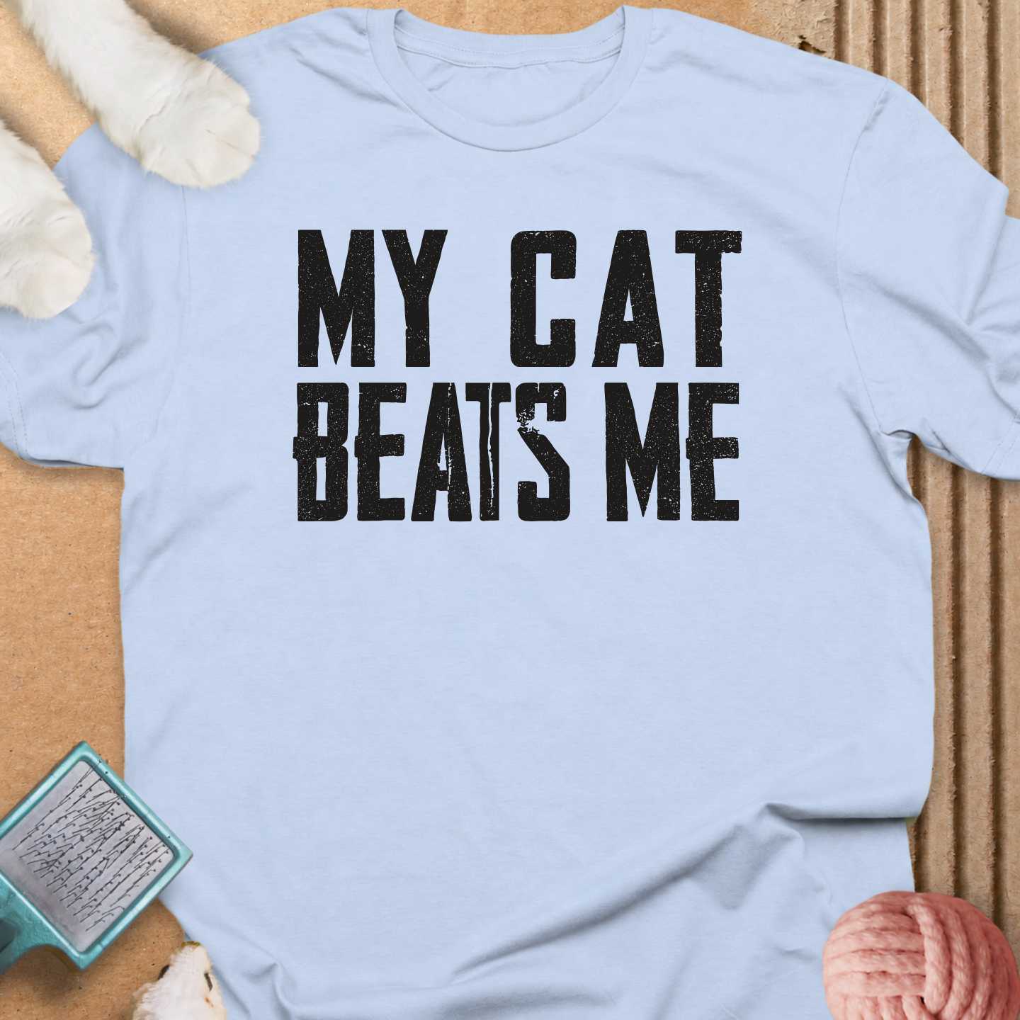 My Cat Beats Me