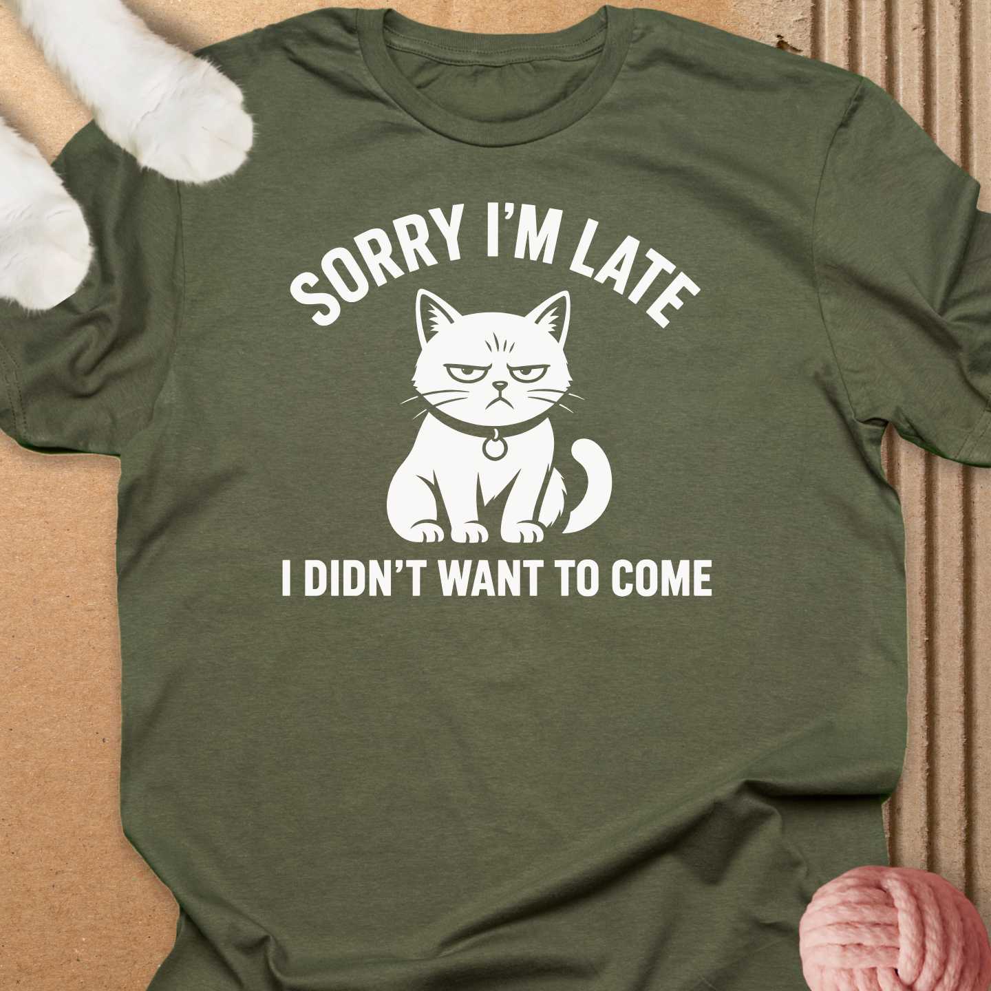 Didn't Want To Come