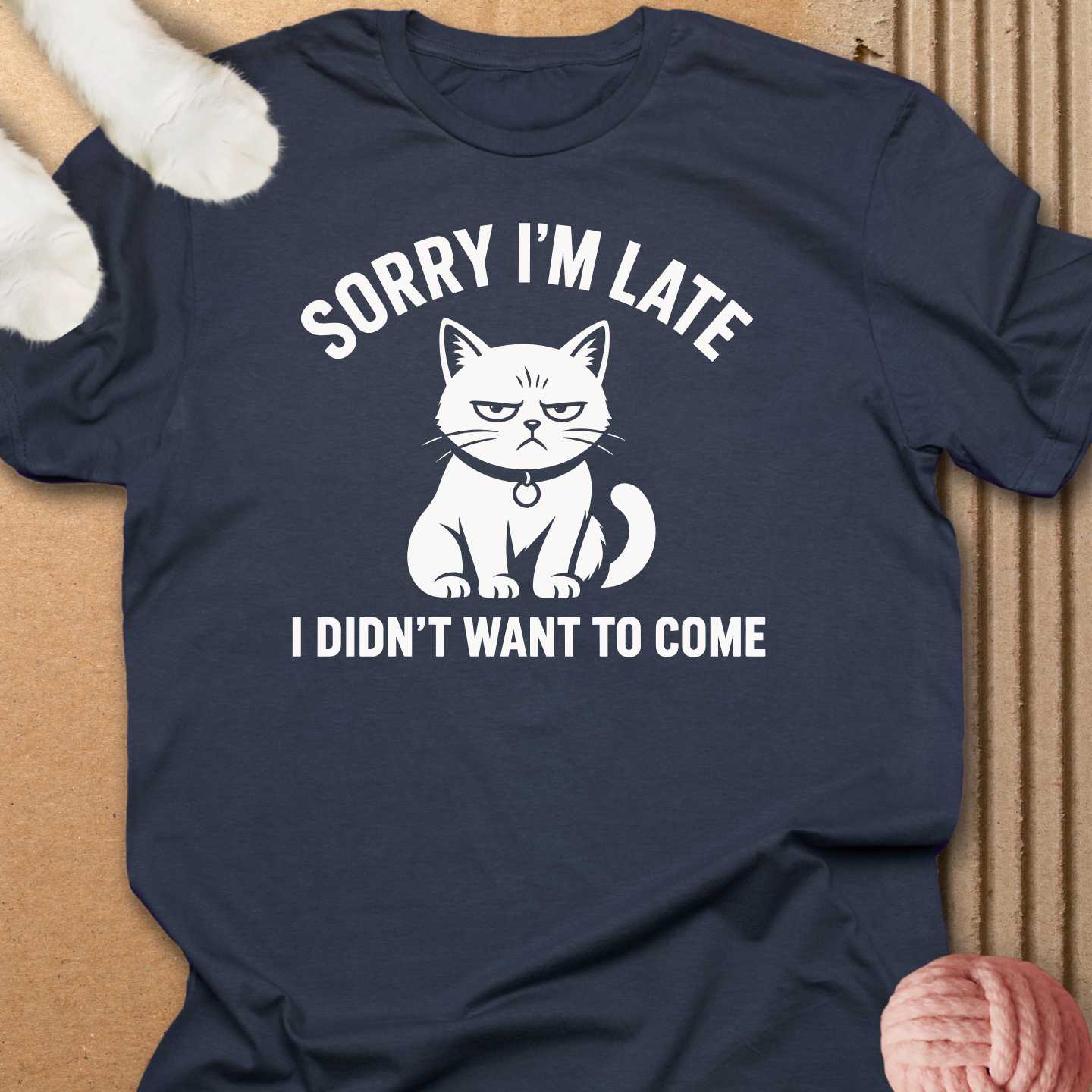 Didn't Want To Come