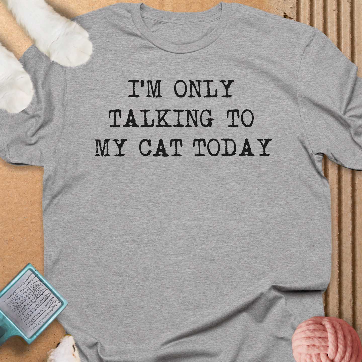 Talking To My Cat